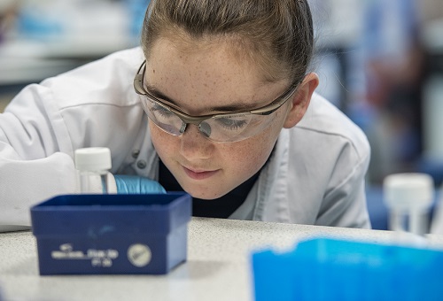 Student participating in practical work